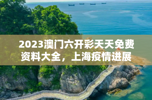 2023澳门六开彩天天免费资料大全，上海疫情进展
