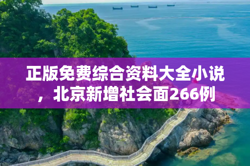 正版免费综合资料大全小说，北京新增社会面266例