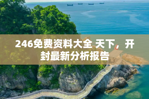 246免费资料大全 天下，开封最新分析报告