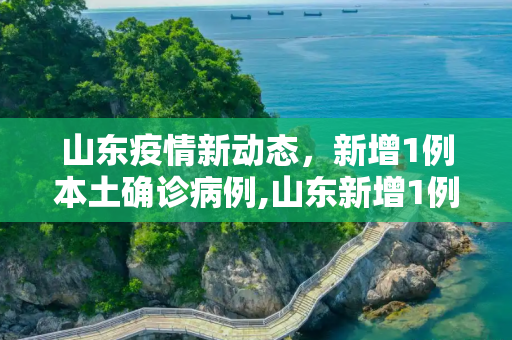 山东疫情新动态，新增1例本土确诊病例,山东新增1例本土确诊病例