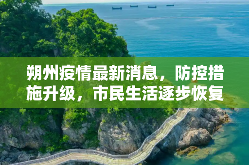 朔州疫情最新消息，防控措施升级，市民生活逐步恢复,朔州疫情最新消息今天