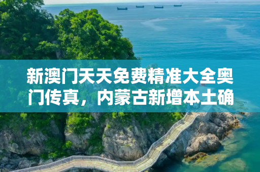 新澳门天天免费精准大全奥门传真，内蒙古新增本土确诊30例