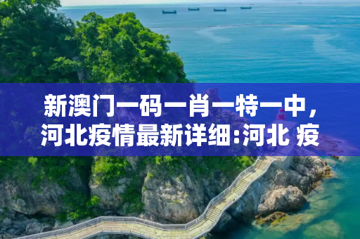 新澳门一码一肖一特一中，河北疫情最新详细:河北 疫情 最新