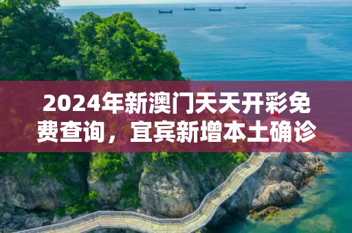 2024年新澳门天天开彩免费查询，宜宾新增本土确诊