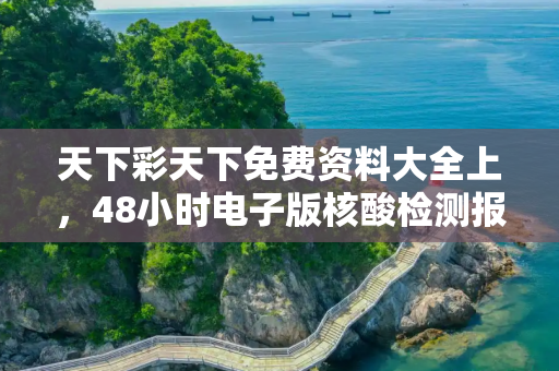 天下彩天下免费资料大全上，48小时电子版核酸检测报告在哪看