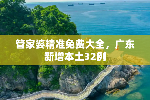 管家婆精准免费大全，广东新增本土32例
