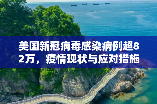 美国新冠病毒感染病例超82万，疫情现状与应对措施,美国新冠病毒感染病例超82万