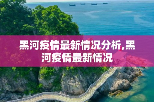 黑河疫情最新情况分析,黑河疫情最新情况