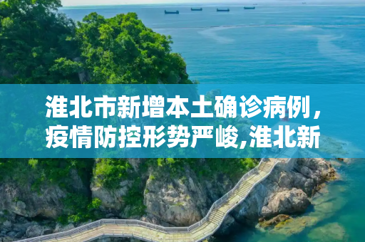 淮北市新增本土确诊病例，疫情防控形势严峻,淮北新增本土确诊