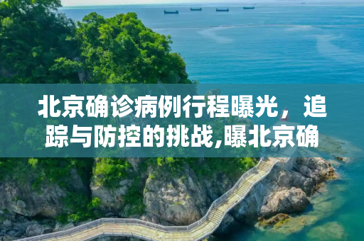 北京确诊病例行程曝光，追踪与防控的挑战,曝北京确诊病例行程