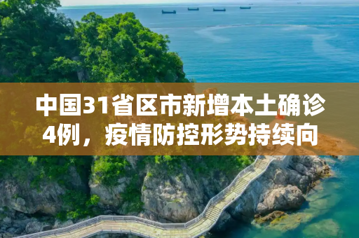 中国31省区市新增本土确诊4例，疫情防控形势持续向好,31省区市新增本土确诊4例