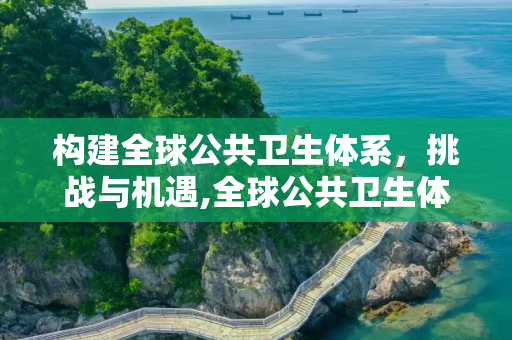 构建全球公共卫生体系，挑战与机遇,全球公共卫生体系