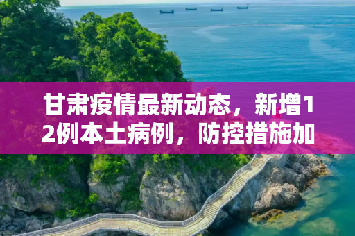甘肃疫情最新动态，新增12例本土病例，防控措施加码,甘肃新增12例本土