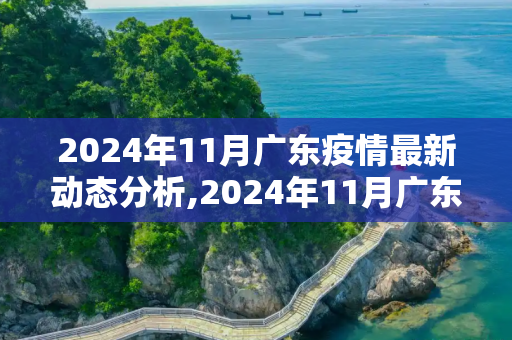 2024年11月广东疫情最新动态分析,2024年11月广东疫情最新动态分析