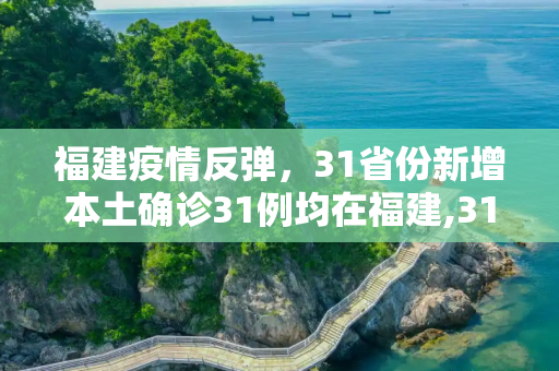 福建疫情反弹，31省份新增本土确诊31例均在福建,31省份新增本土确诊31例 均在福建